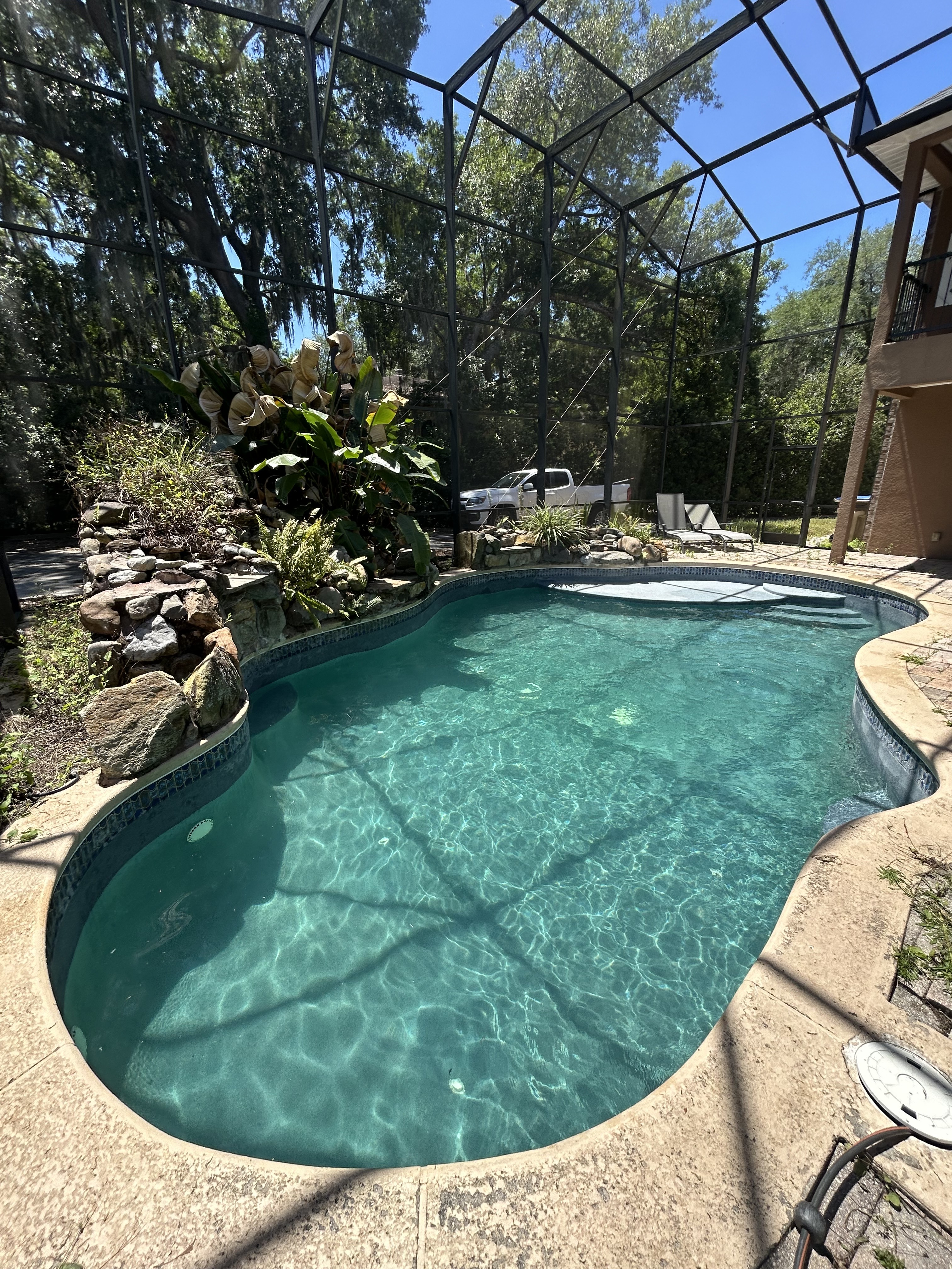 Freeform pool restored to clear blue
