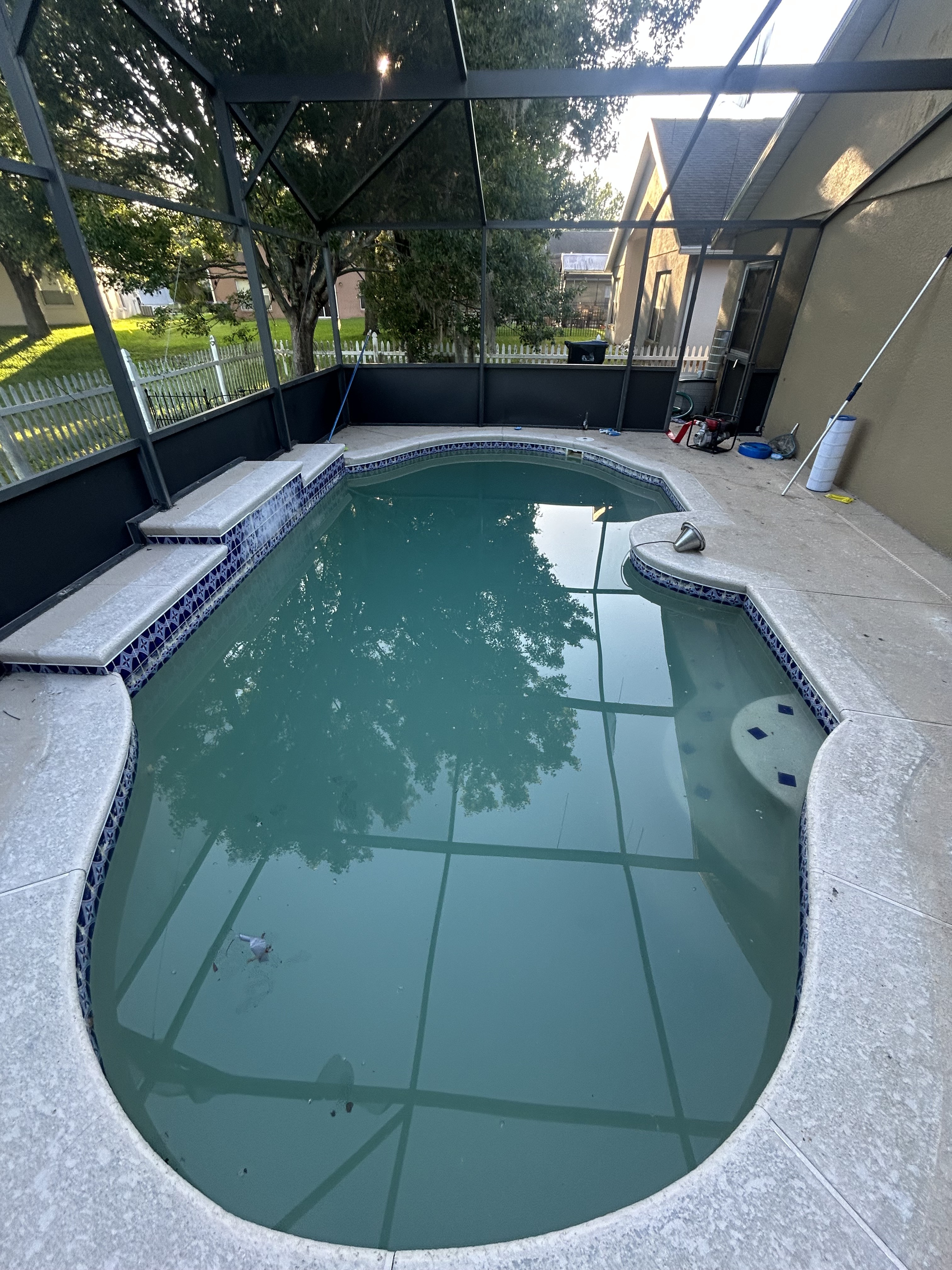 Green to Clean pool service — cloudy green water before
