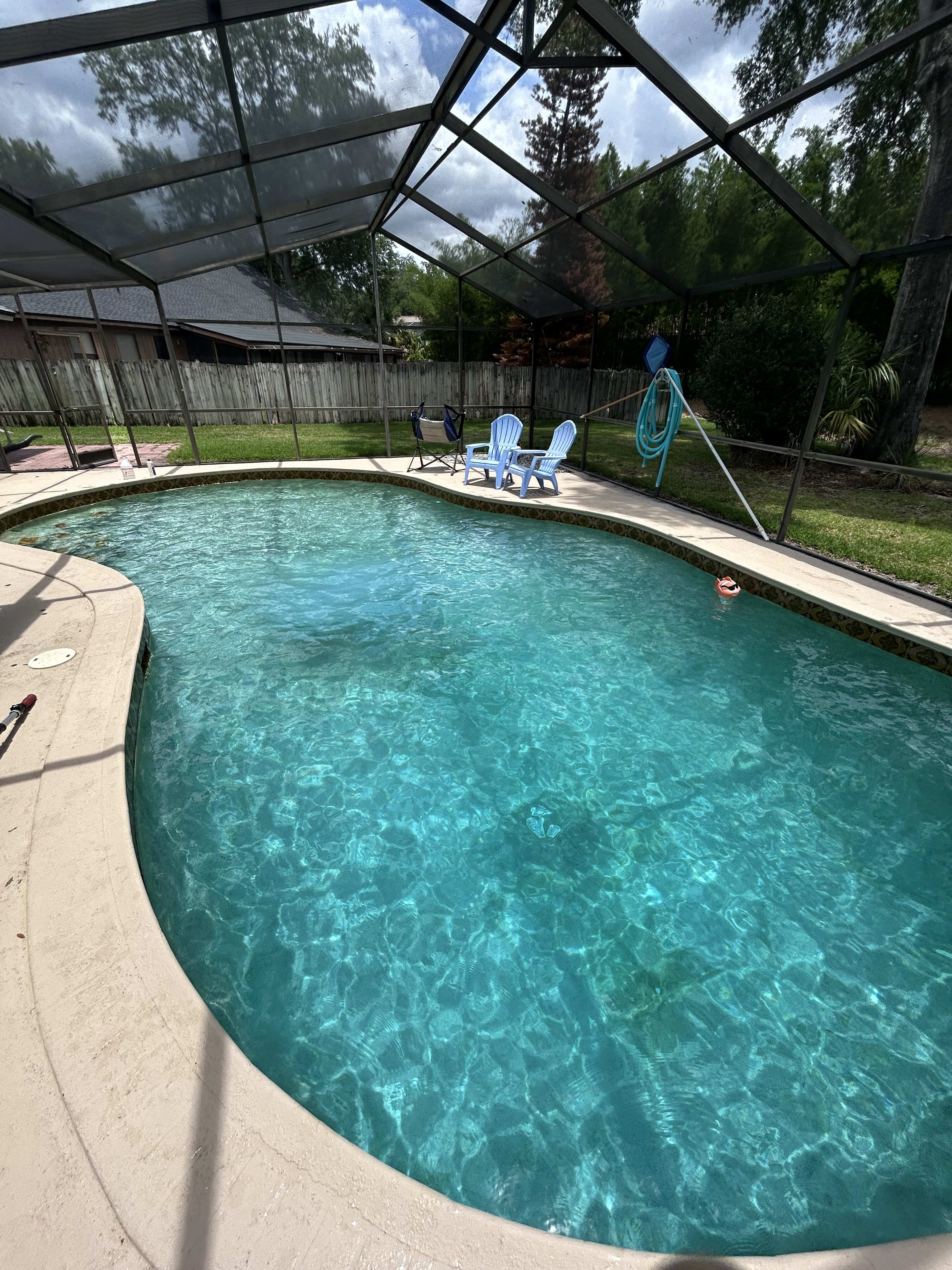 Screened oval pool — clean and clear